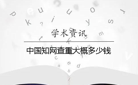 中國知網查重大概多少錢