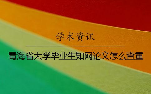 青海省大學畢業生知網論文怎么查重