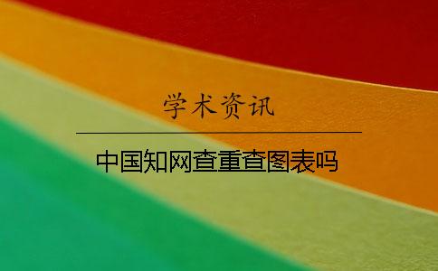 中國知網查重查圖表嗎