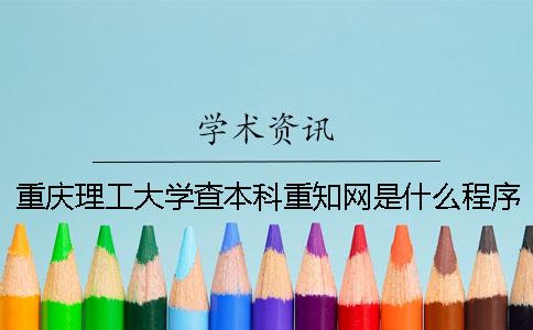 重慶理工大學查本科重知網是什么程序